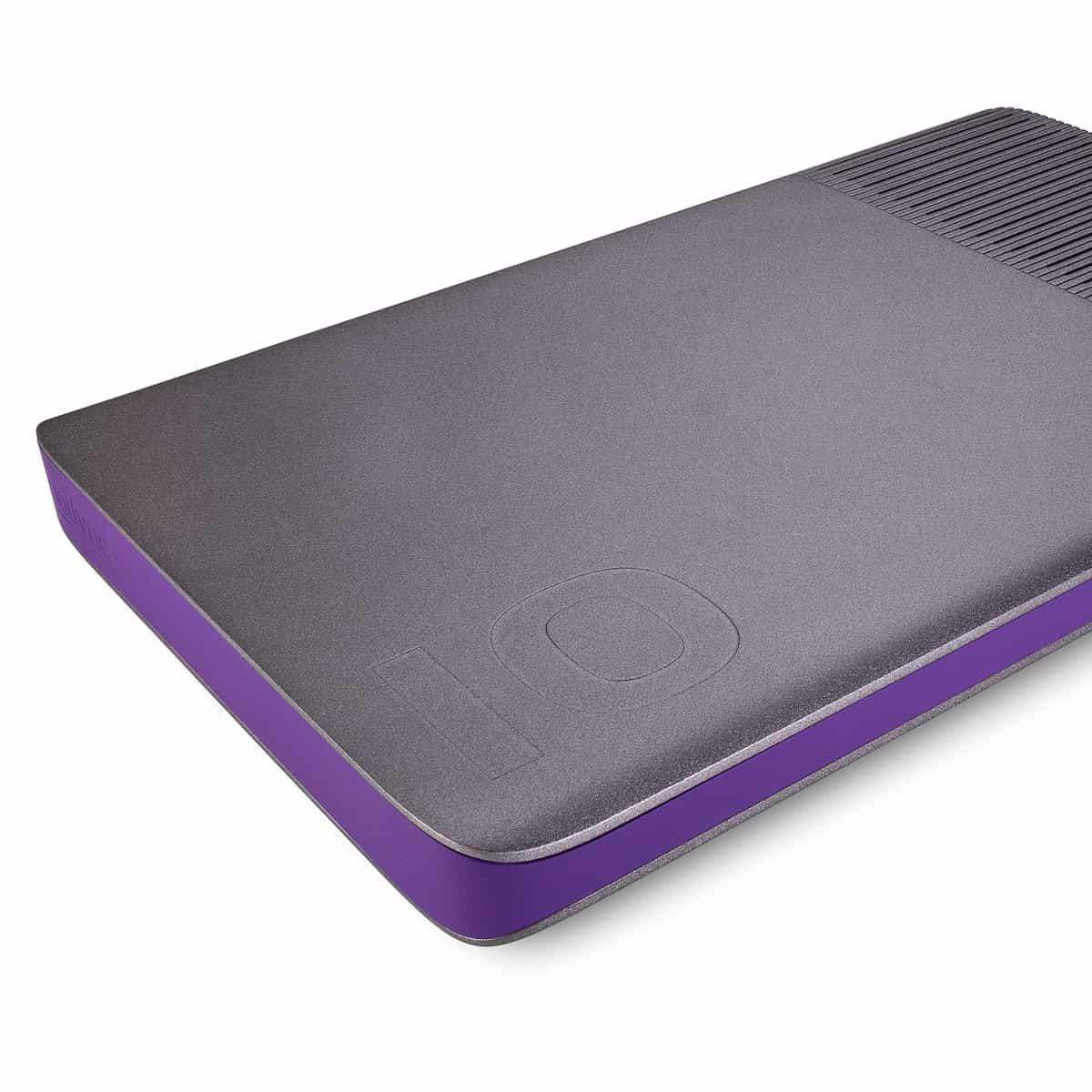 iodyne Pro Data Thunderbolt RAID 存储设备