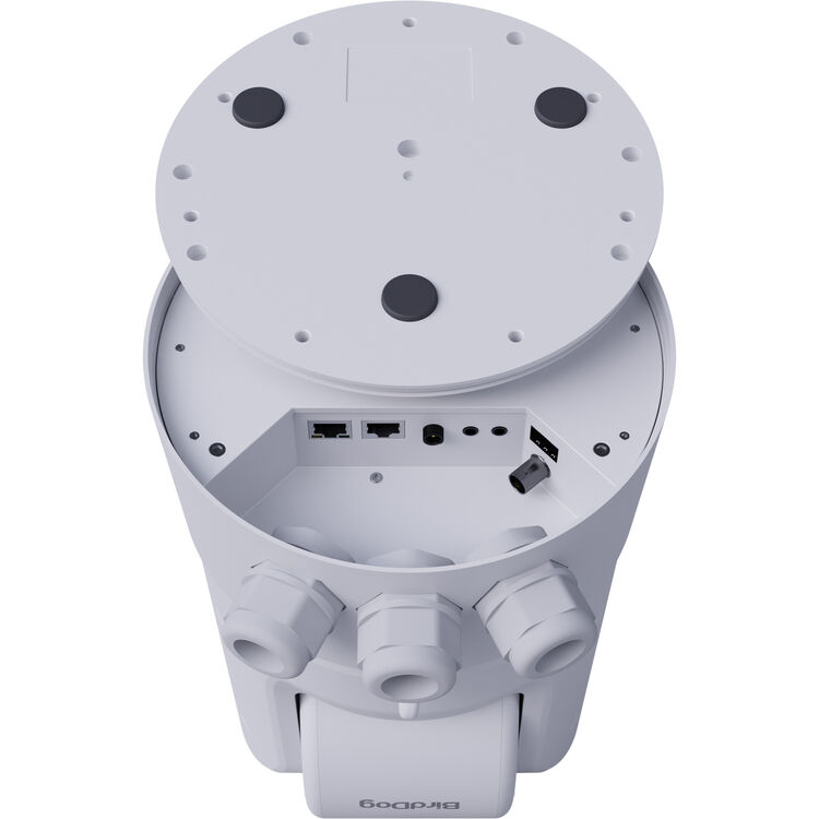 BirdDog O4 Outdoor PTZ Camera with 30x Optical Zoom (White)