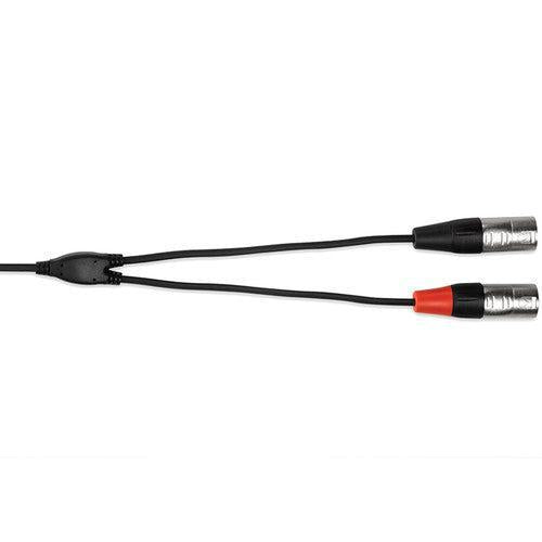 Hosa HMX-003Y 3.5 mm TRS to Dual XLR Pro Stereo Breakout Cable, 3 Feet