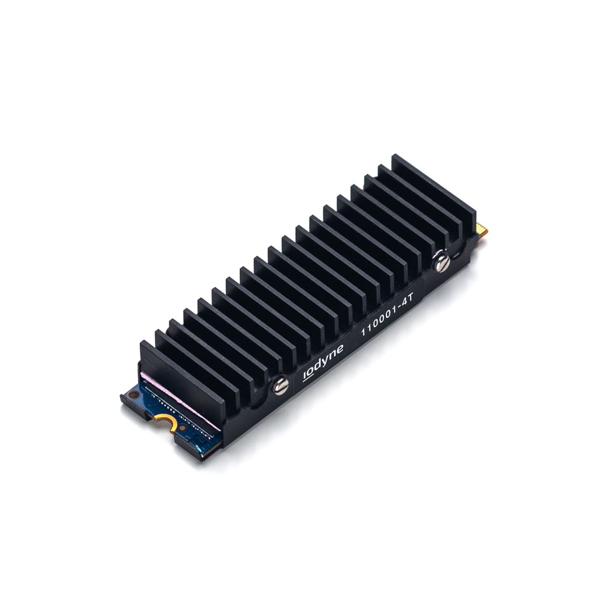 iodyne 4TB SSD Spare for 48TB Pro Data Spare SSD Module