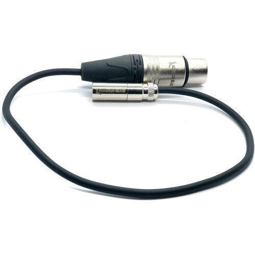 Kondor Blue Mini-XLR Male to XLR Female Audio Cable