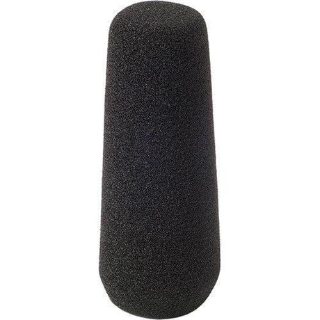 Rycote 10cm Standard Hole SGM Shotgun Mic Foam