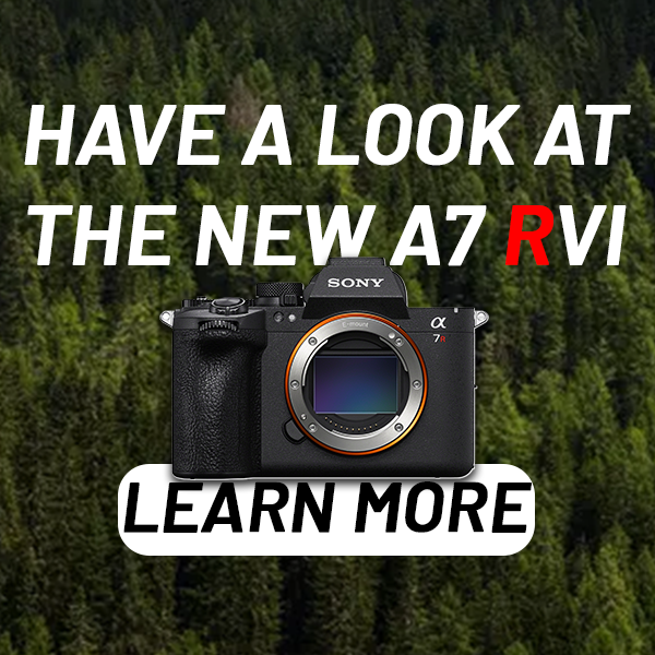 New from Sony