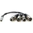 Atomos LEMO Type to XLR Breakout Cable for Shogun