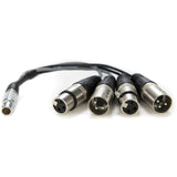 Atomos LEMO Type to XLR Breakout Cable for Shogun