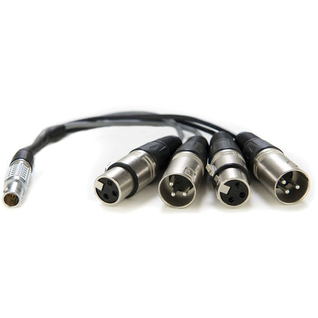 Atomos LEMO Type to XLR Breakout Cable for Shogun