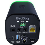 BirdDog MAKI Ultra 4K Box Camera with 20x Zoom in Black