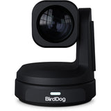 BirdDog Max 4K UHD PTZ Camera with 12x Zoom - Black