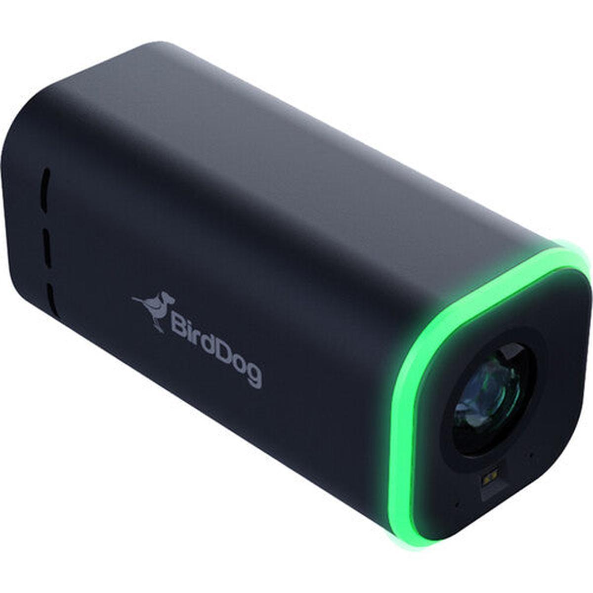 BirdDog MAKI Live 3-Camera Production Combo with Control Surface