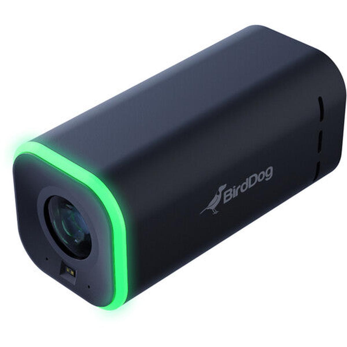 BirdDog MAKI Live Compact Box Cameras (Black)