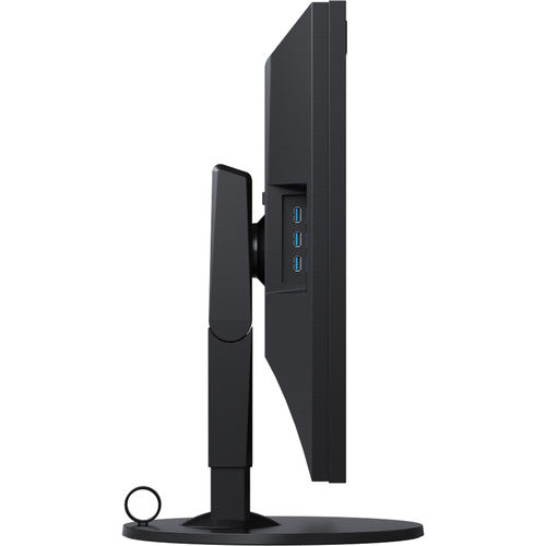 EIZO ColorEdge CG319X 31 Inch IPS Monitor