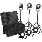 Litepanels Sola 4+ Daylight Fresnel 3-Light Traveler Kit
