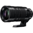 Panasonic Leica 100-400mm f/4-6.3 Lens
