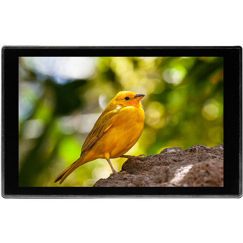 Portkeys HD7T 7-Inch Touchscreen Monitor with Professional Tools