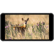PortKeys PT5 II 5-Inch 4K HDMI Touchscreen Monitor with 3D LUT Support