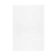 Prompt-It Maxi Teleprompter Spare Beamsplitter Glass