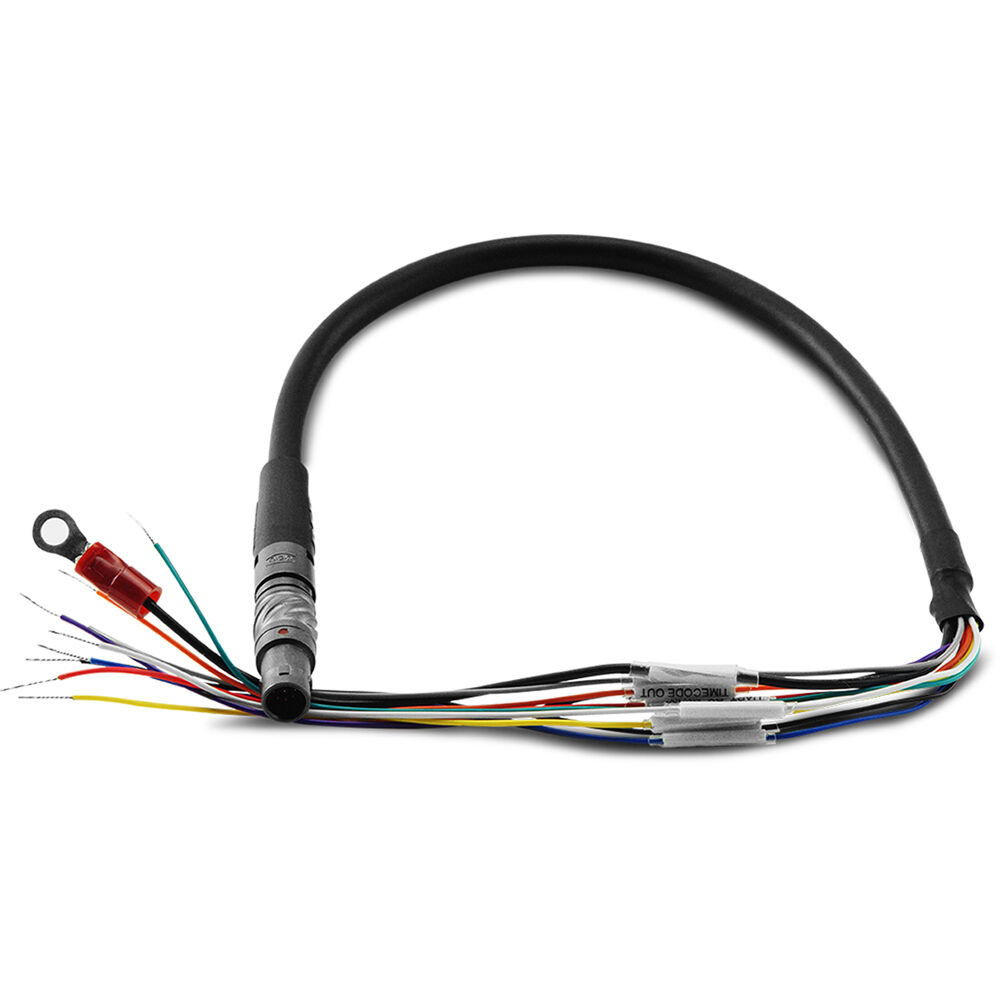 RED 9-Pin EXT-to-Flying Lead Cable