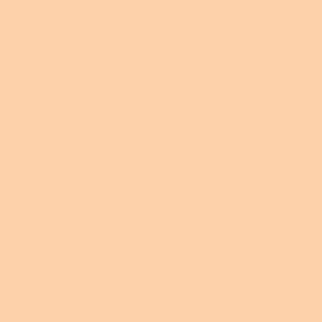 Rosco E-Colour #205 1/2 Orange 48 x 21 Inch Sheet