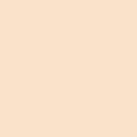 Rosco E-Colour #206 1/4 Orange 48 x 21 sheet