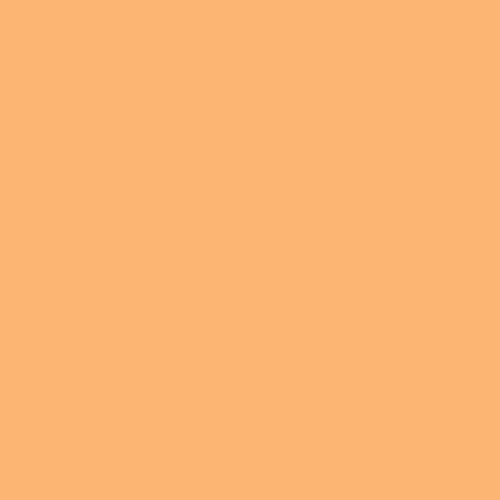 Rosco E-Colour Gel 204 Full CTO Orange Sheet 48X21 Inches