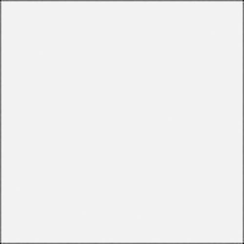 Rosco E-Colour Gel 250 1/2 Diffusion Sheet 48 X 21 Inches
