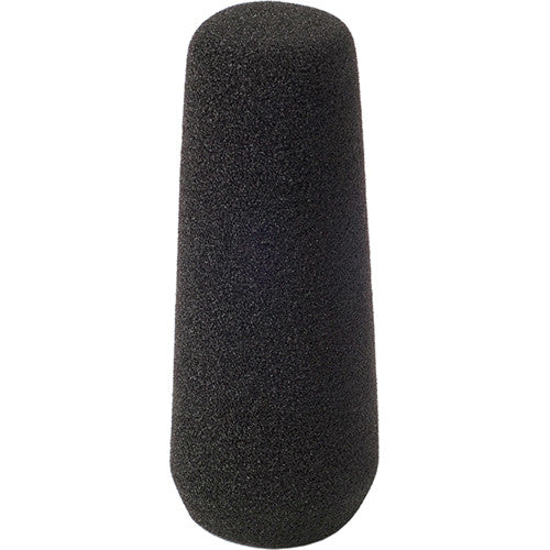 Rycote 10cm Standard Hole SGM Shotgun Mic Foam